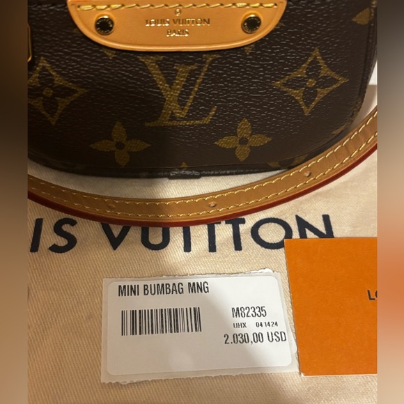Louis Vuitton Mini Bumbag Women Monogram Pattern - Picture 3 of 15